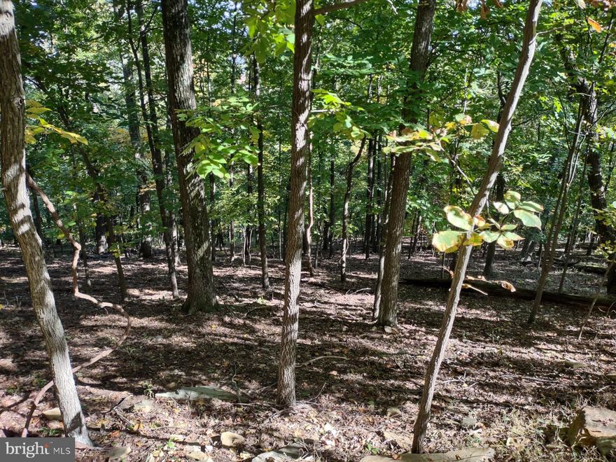 Private TOP of The MOUNTAIN Lot -Vacation or Live  Year Round.. BULL RUN MOUNTAIN ESTATES- Potential for Incredible Views.   Raw Land-  All permits to be obtained and  researched by buyer..   Follow directional signs to lot. Road to lot has not been built, a short walk required through overgrowth to access lots.  Lot has been surveyed stakes and  ribbons mark  property corners.