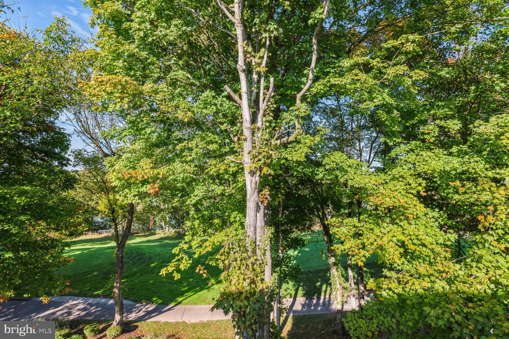 RIVER CREEK - Residential Lease