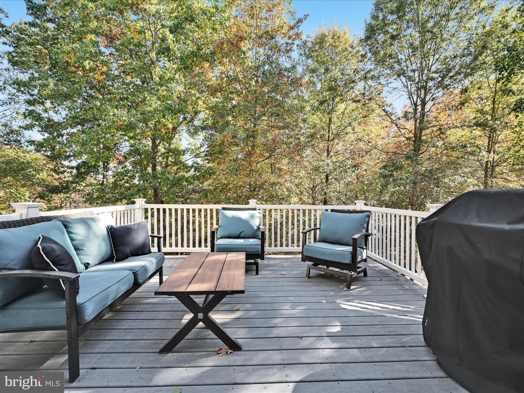 WILLISTOWN HUNT - Residential