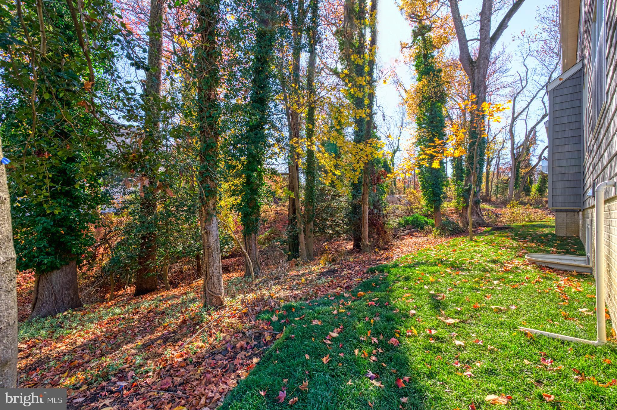 ANNAPOLIS ROADS - Residential