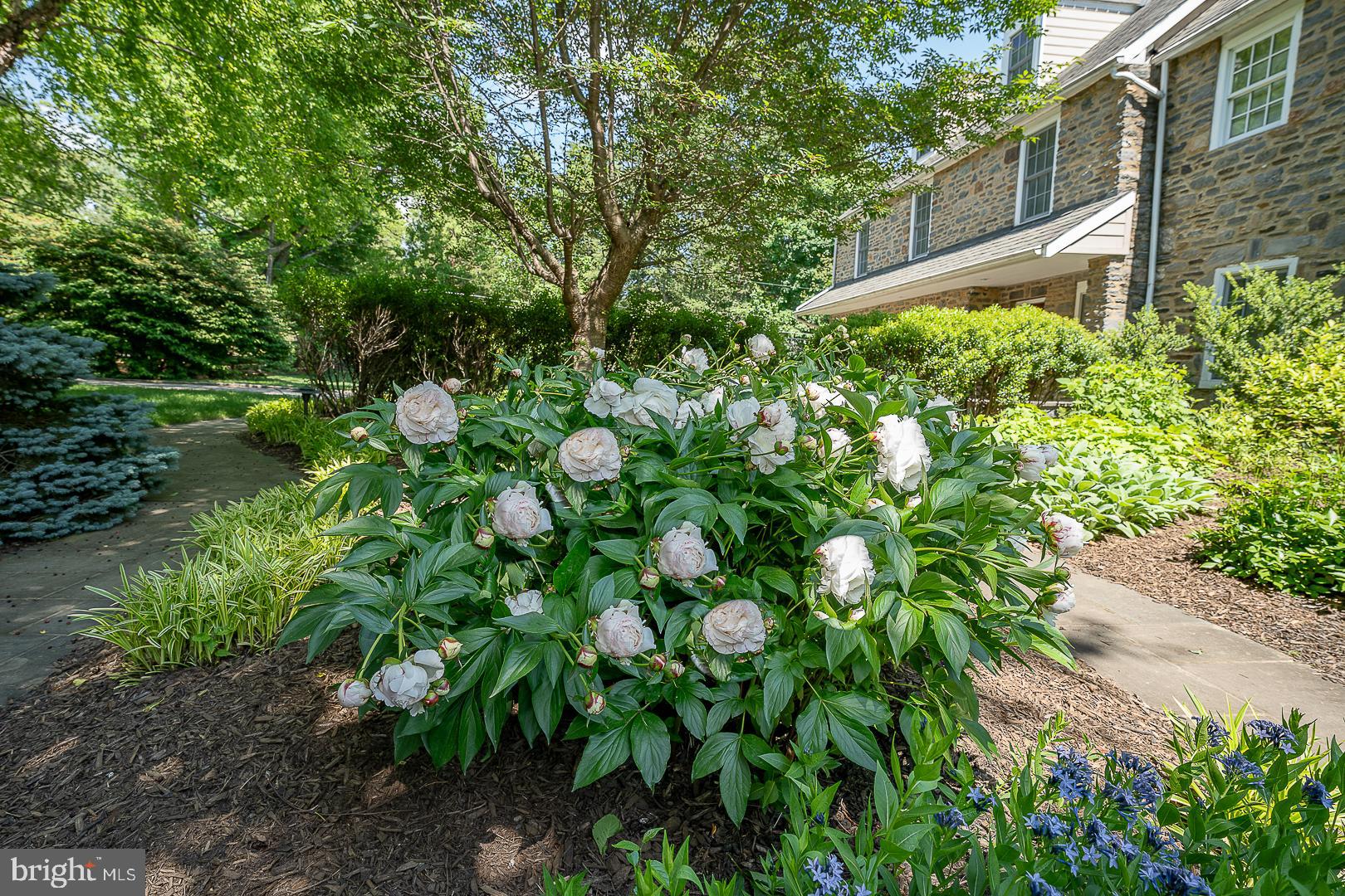 PENN VALLEY - Residential