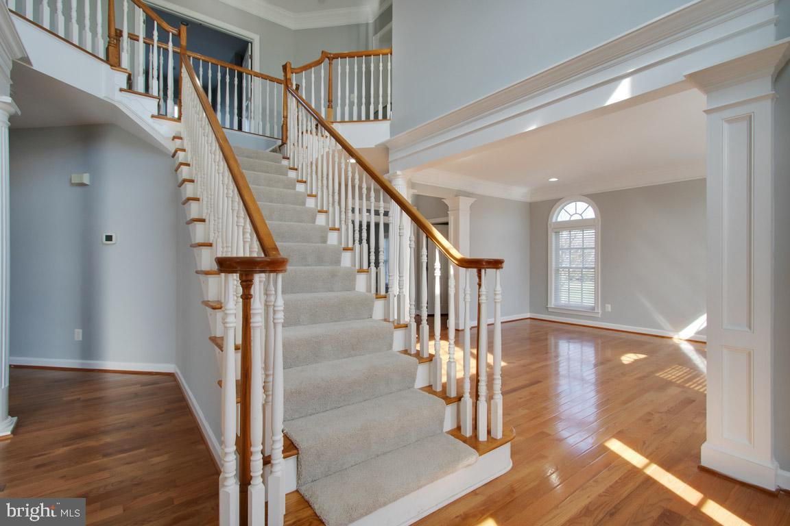 HOLLY RIDGE AT LAWNVALE - Residential