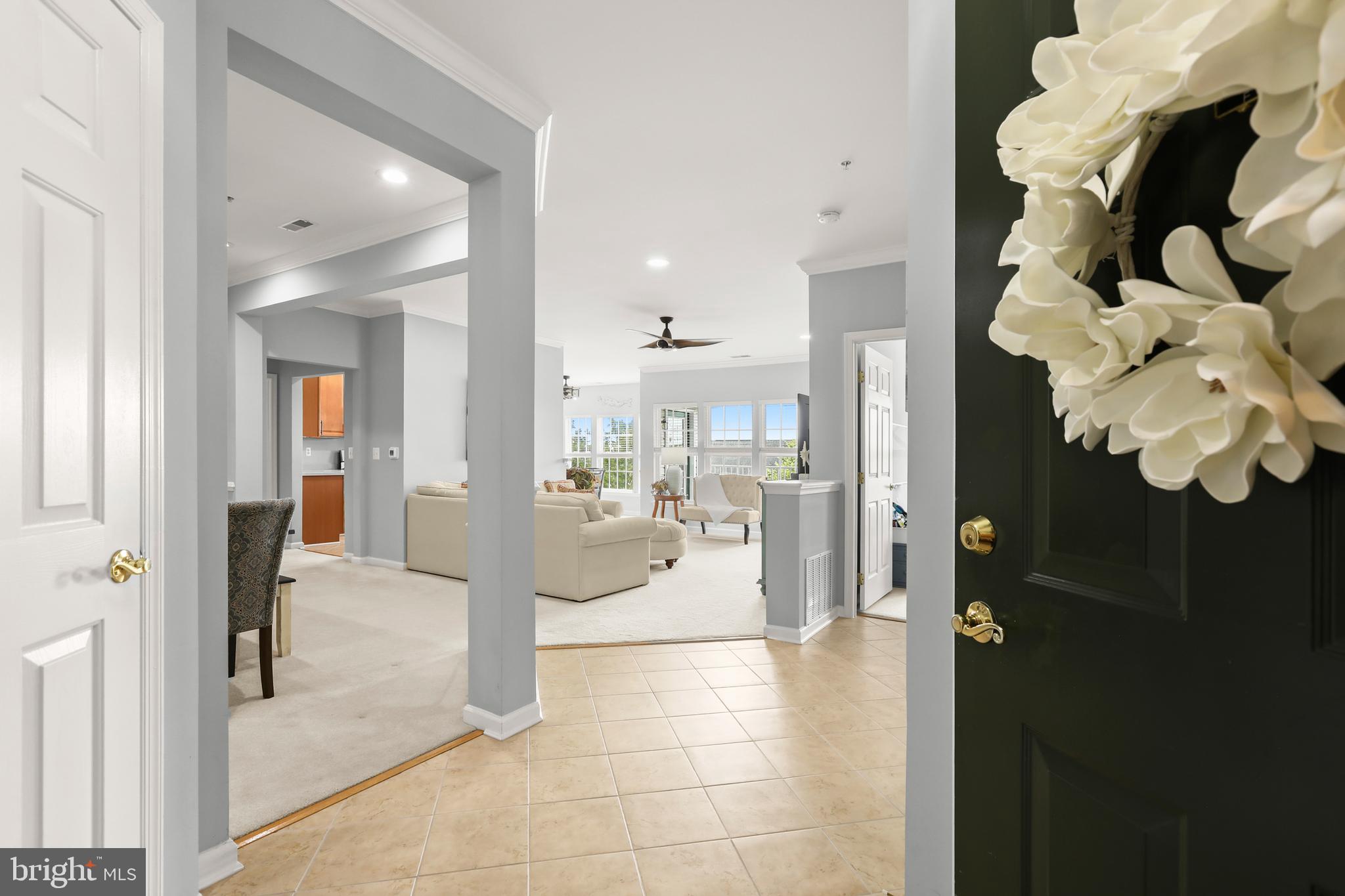 203 SECRETARIAT DRIVE 203-F