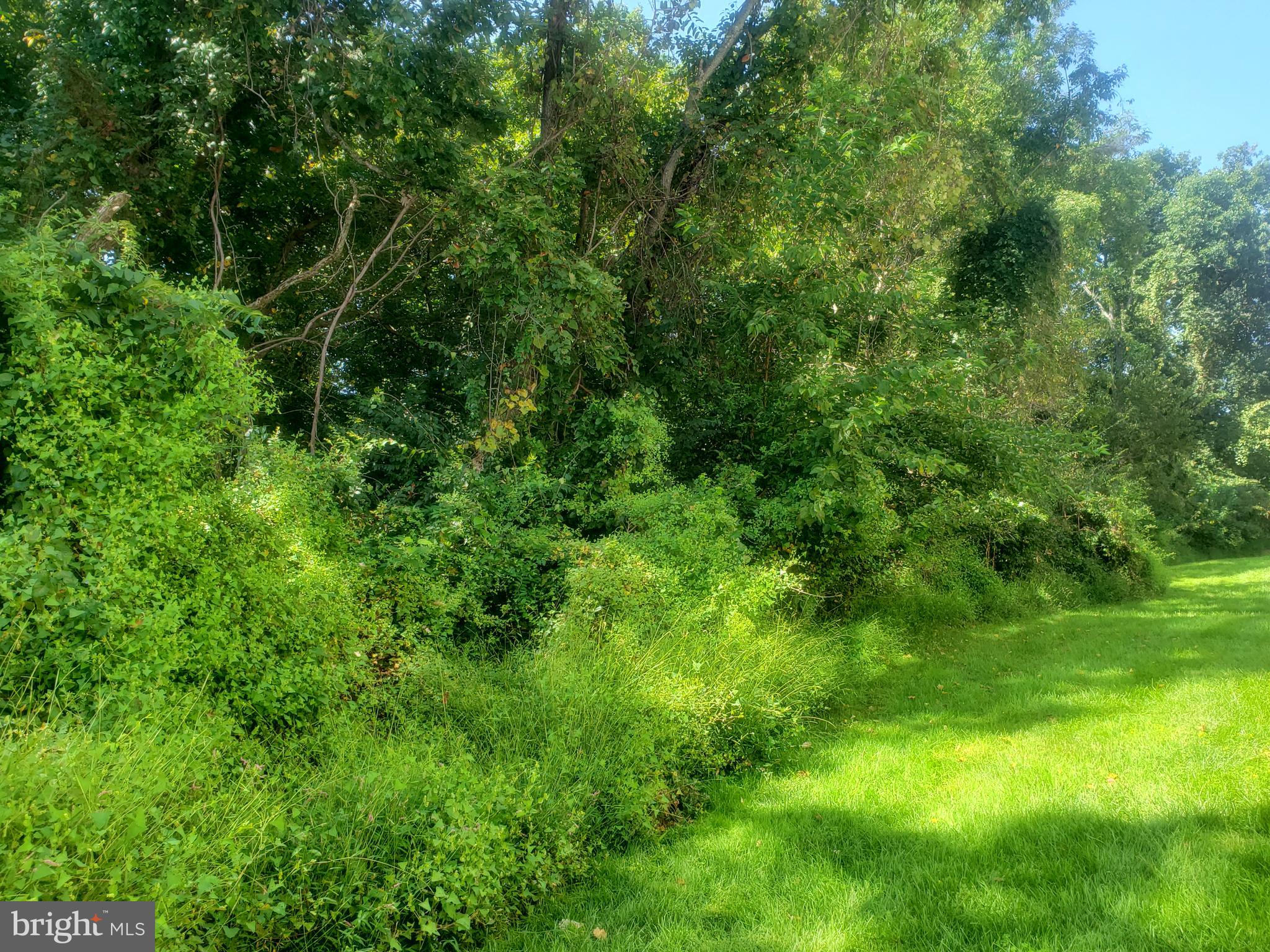 CHATHAM GREEN CONDOMINIUM - Residential Lease