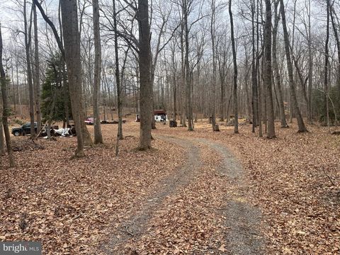 13220 BLACKWOOD FOREST DRIVE GOLDVEIN VA 22720