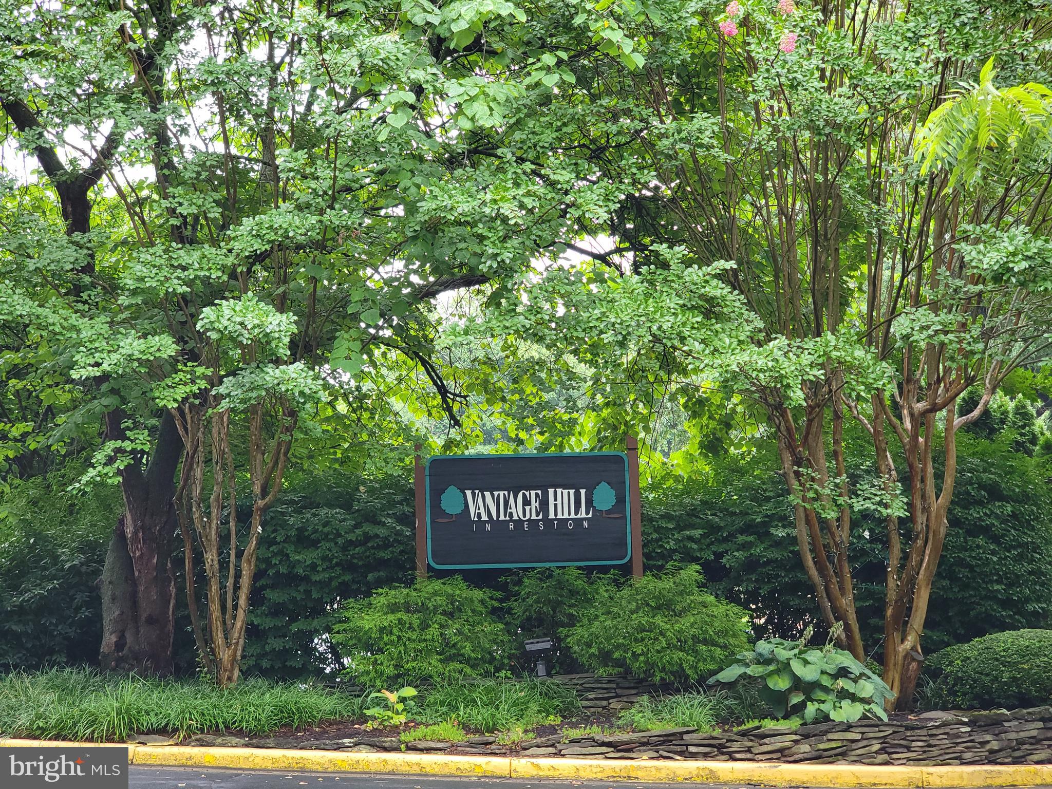 VANTAGE HILL - Residential Lease