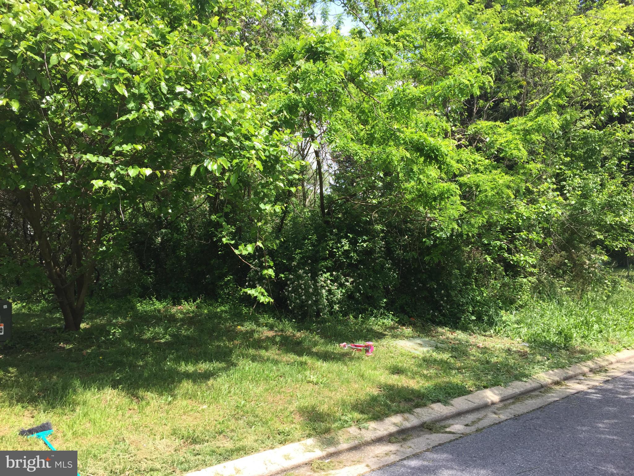 CATONSVILLE MANOR - Land