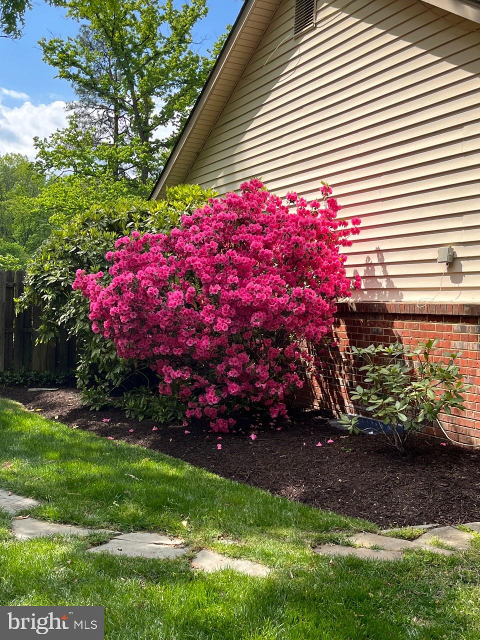 CARDINAL FOREST - Residential