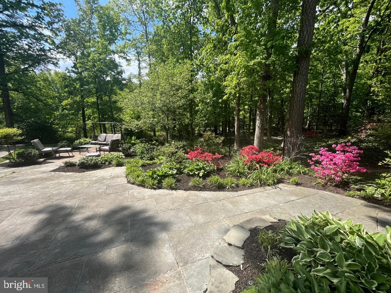 CARDINAL FOREST - Residential