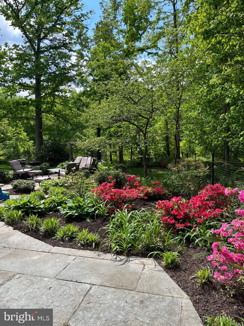 CARDINAL FOREST - Residential