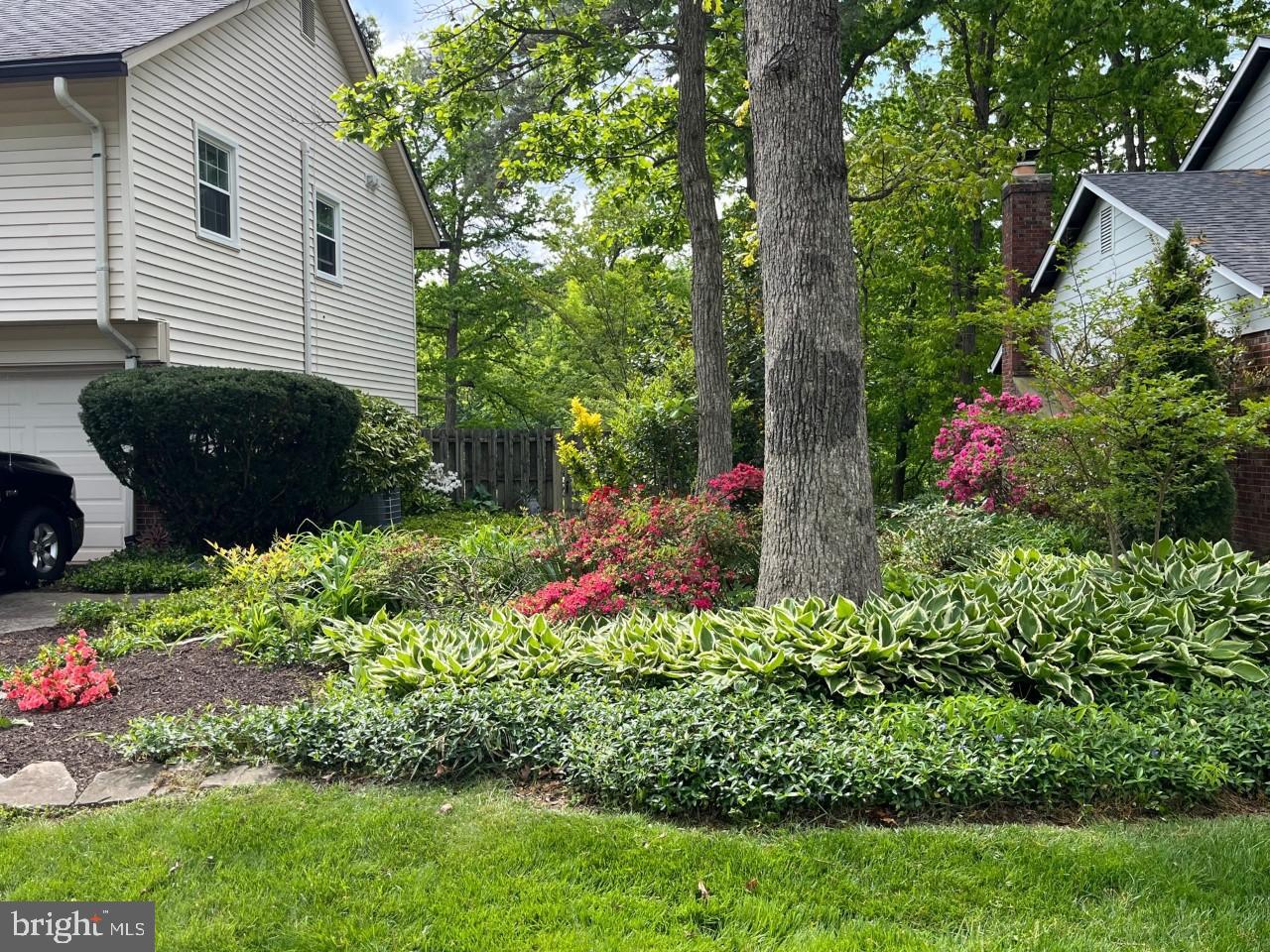 CARDINAL FOREST - Residential