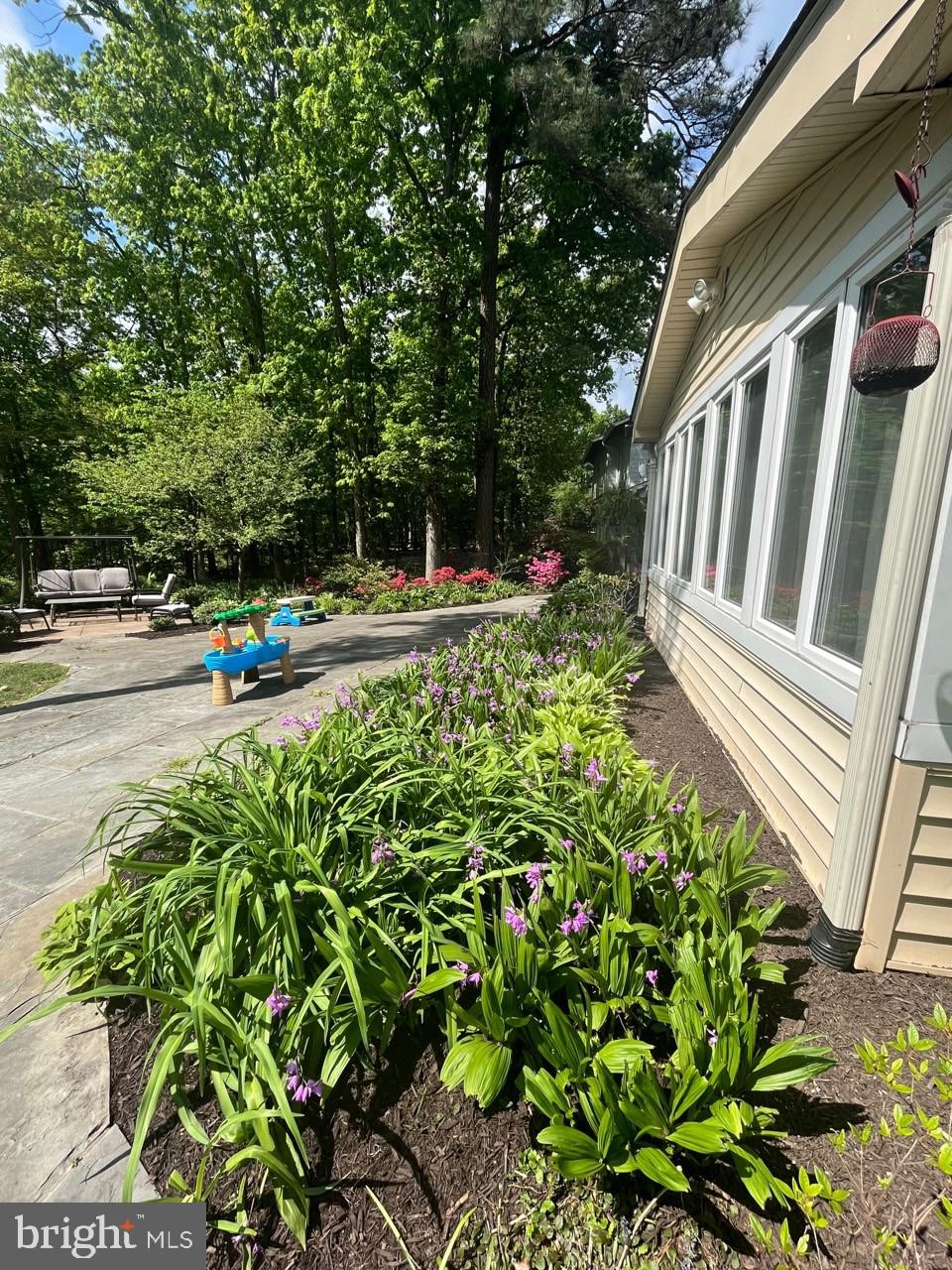 CARDINAL FOREST - Residential