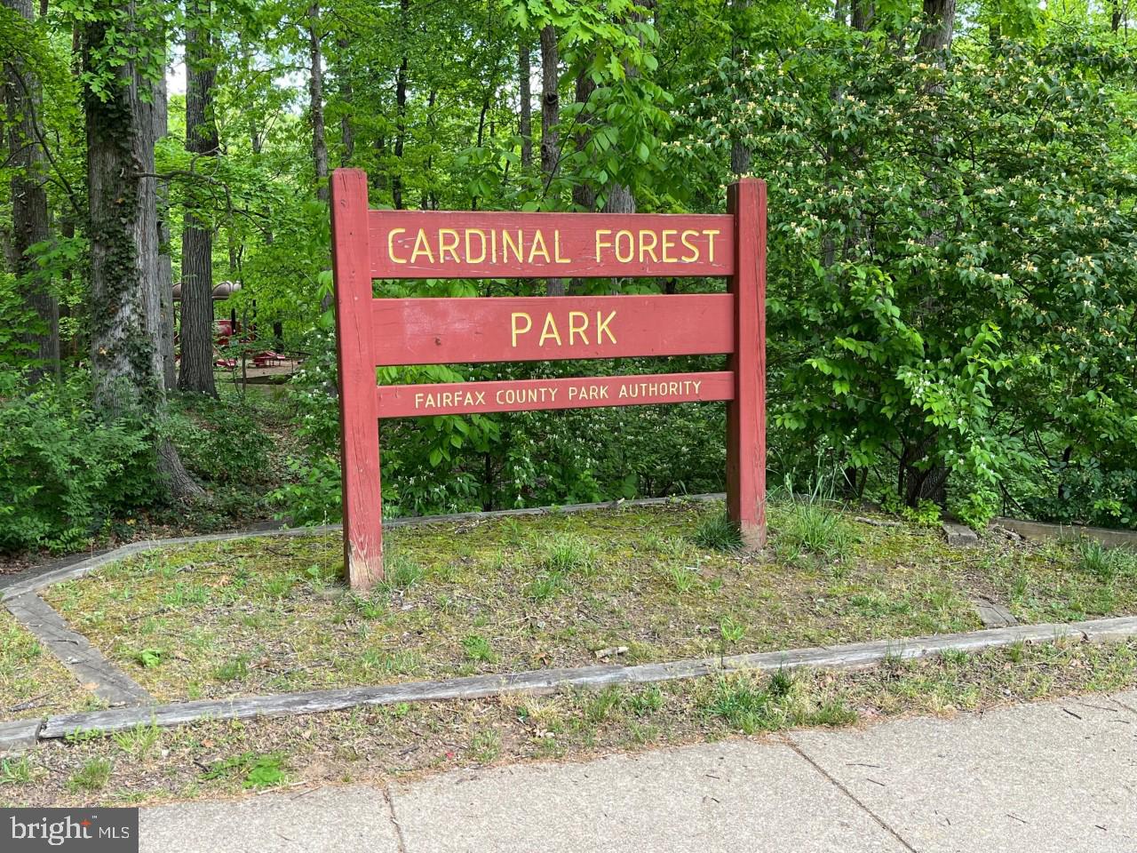 CARDINAL FOREST - Residential