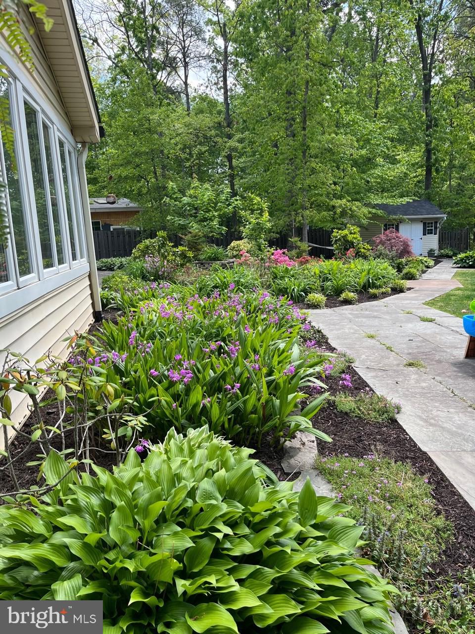 CARDINAL FOREST - Residential