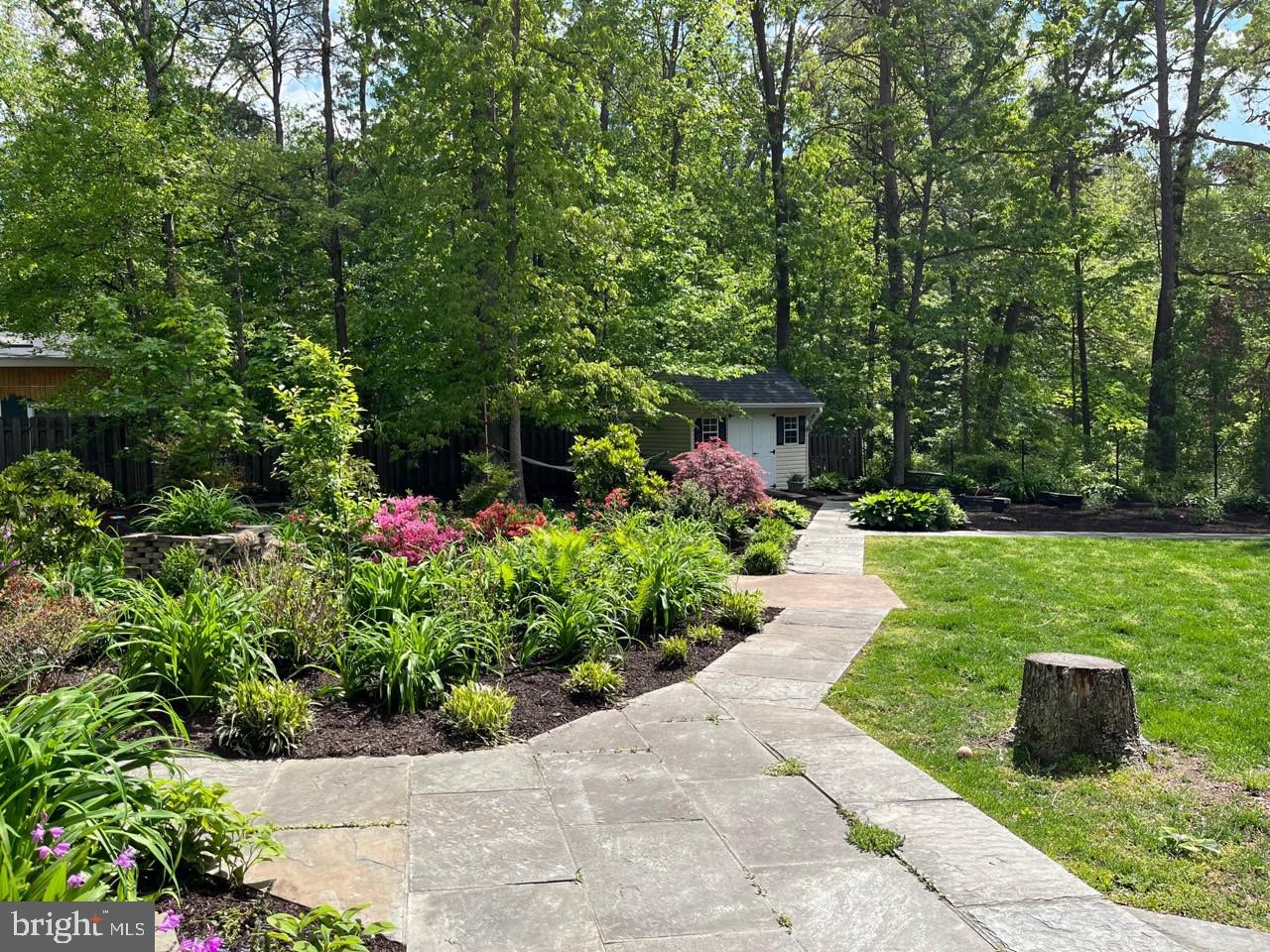 CARDINAL FOREST - Residential