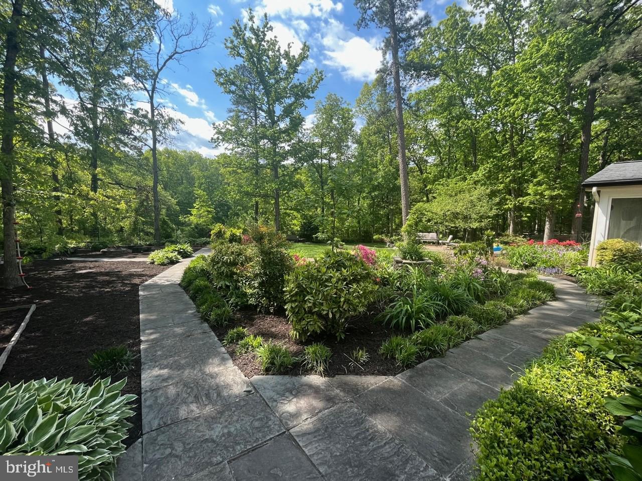 CARDINAL FOREST - Residential