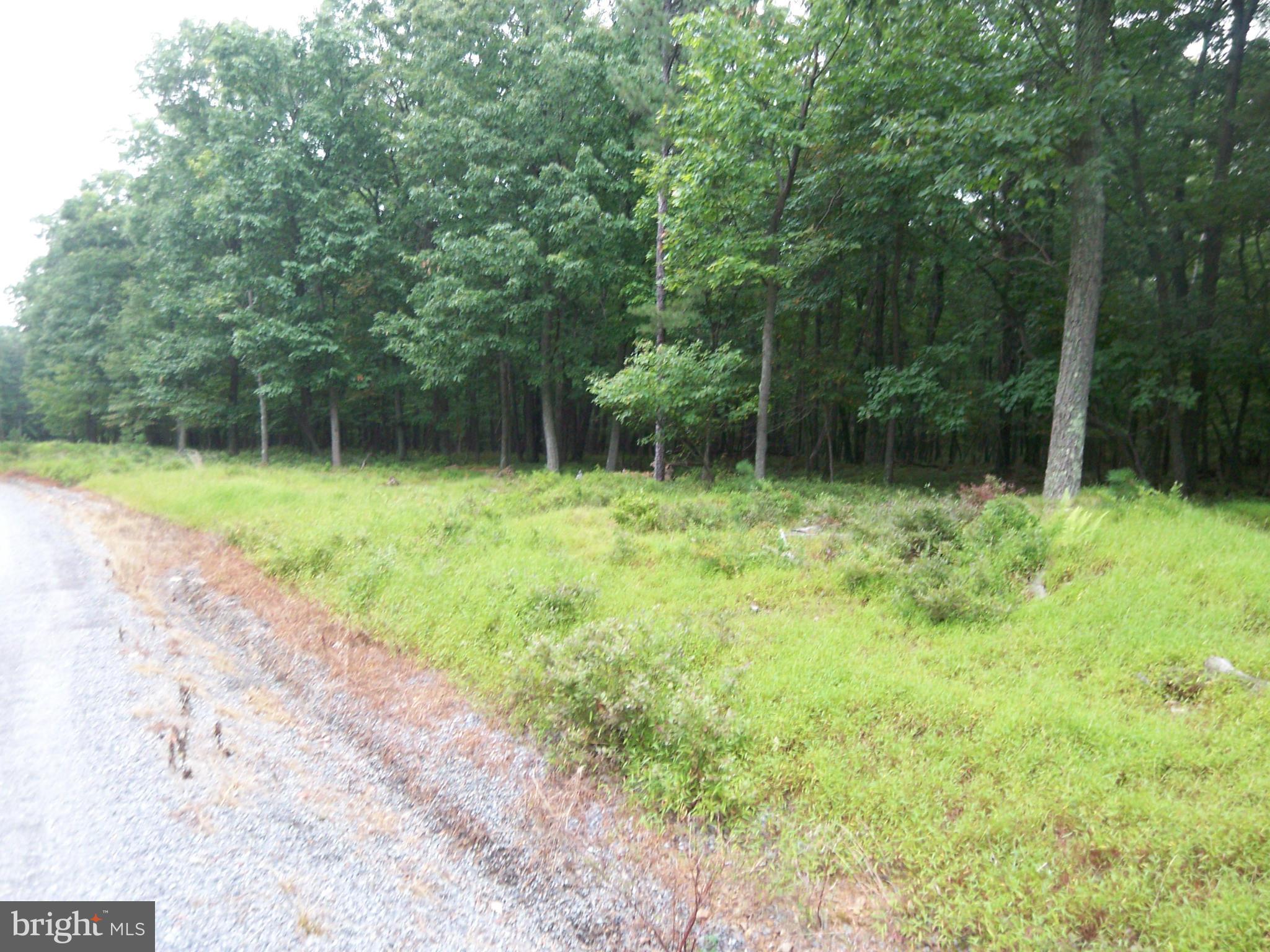 MORGANS RIDGE - Land