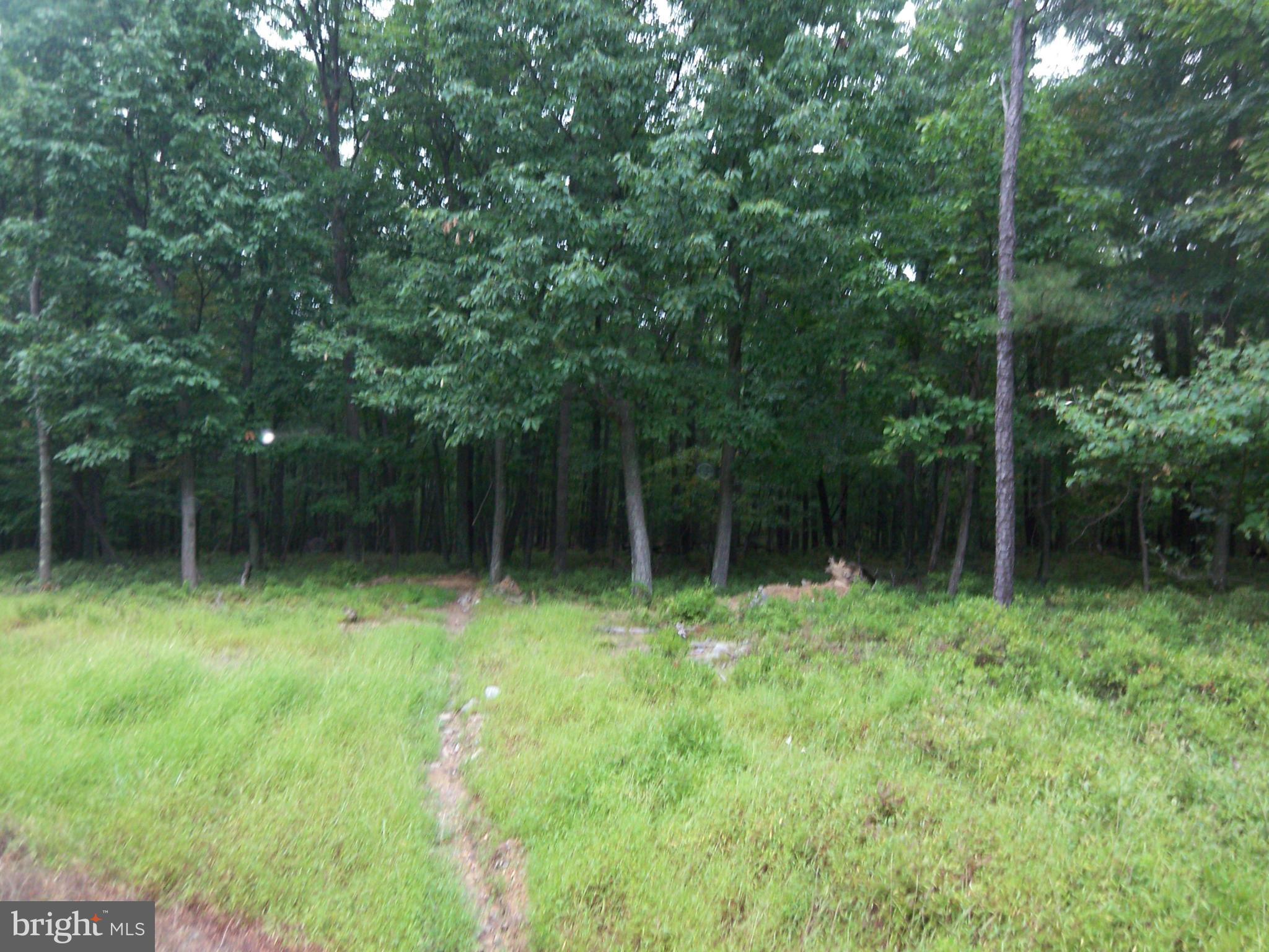 MORGANS RIDGE - Land