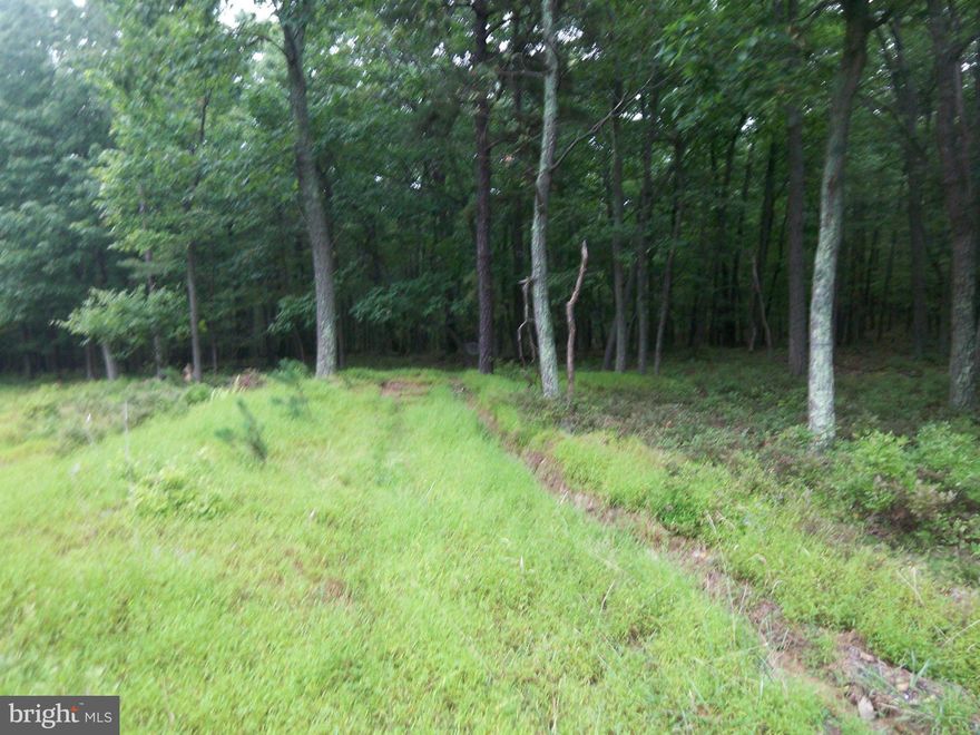 Private, remote, wooded 10.05 acre lot.Located close to Virginia and Hampshire county lines.Use this walkable lot for recreation, go hunting or build your new dream home. You'll be close to  Cacapon State Park where you can golf, swim at the lake, have a paddle boat ride, go fishing, go hiking, have a BBQ,  visit the lodge and restaurant too Check out the adjoining lot for sale too MO8457647
