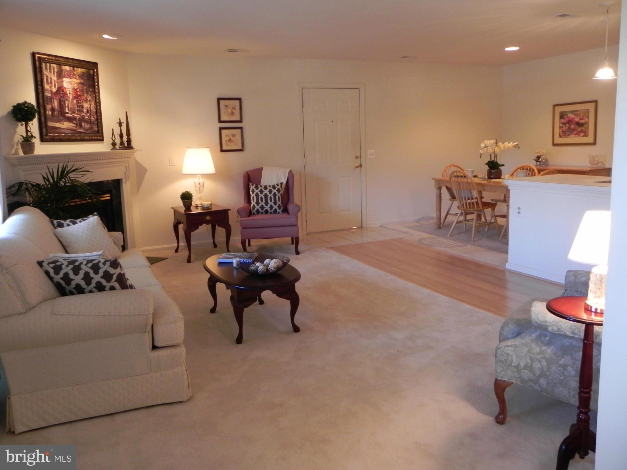 PLUMBRIDGE - Residential