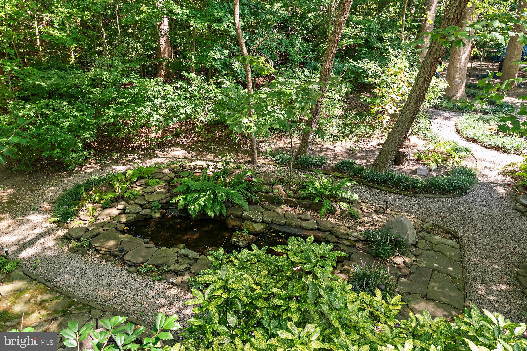 CHESTNUT RIDGE - Residential