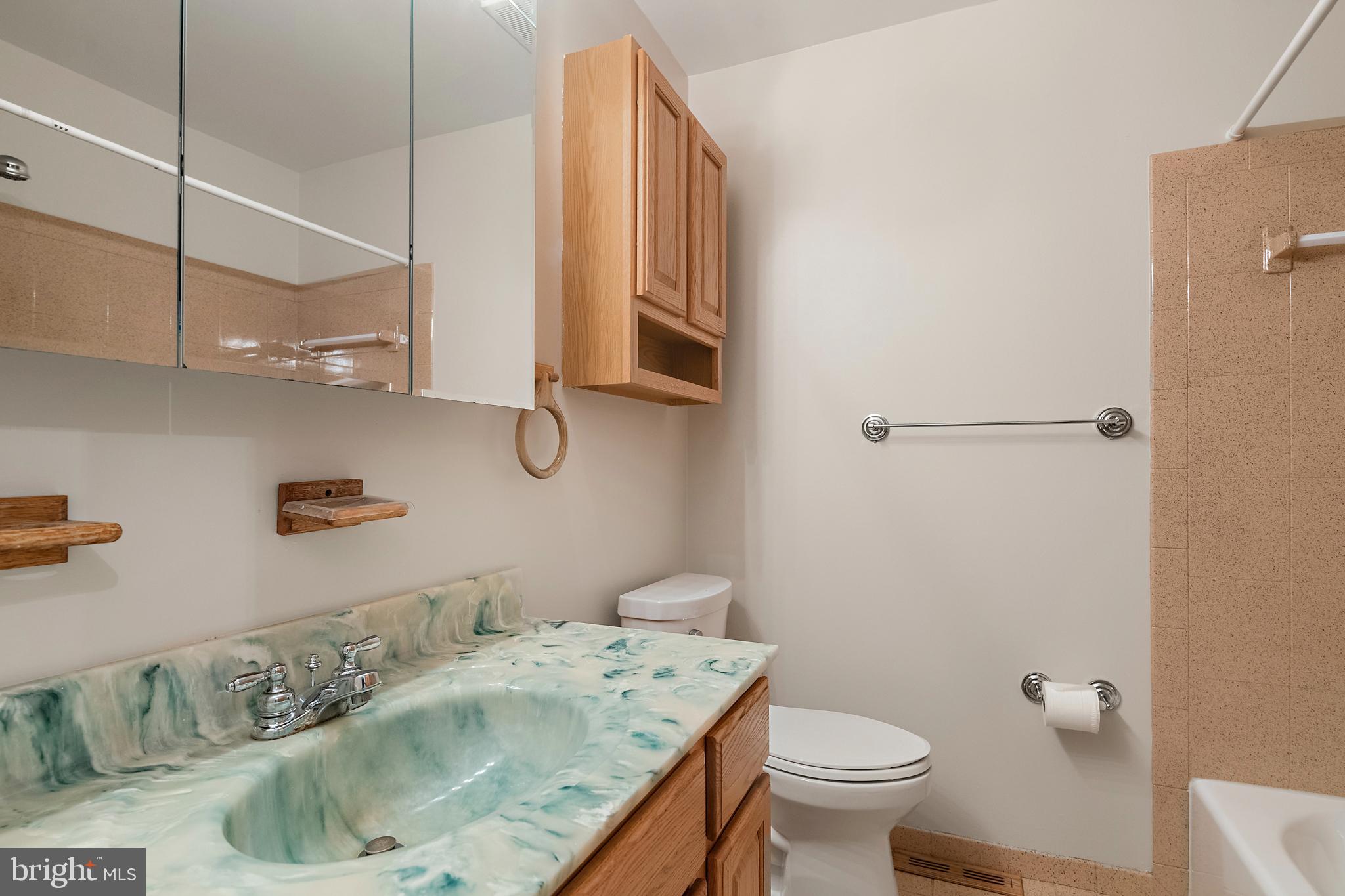 CHESTNUT RIDGE - Residential