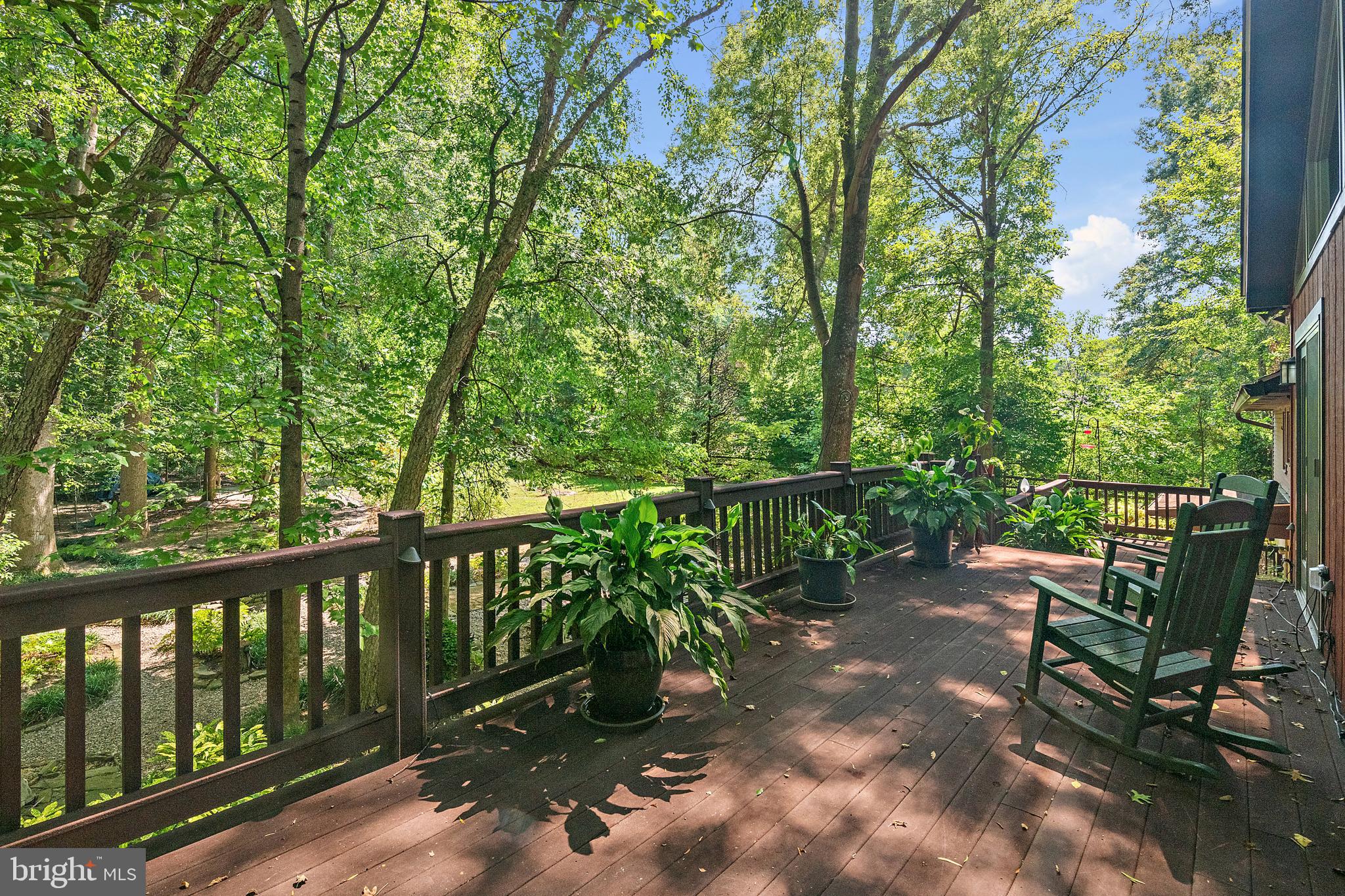 CHESTNUT RIDGE - Residential