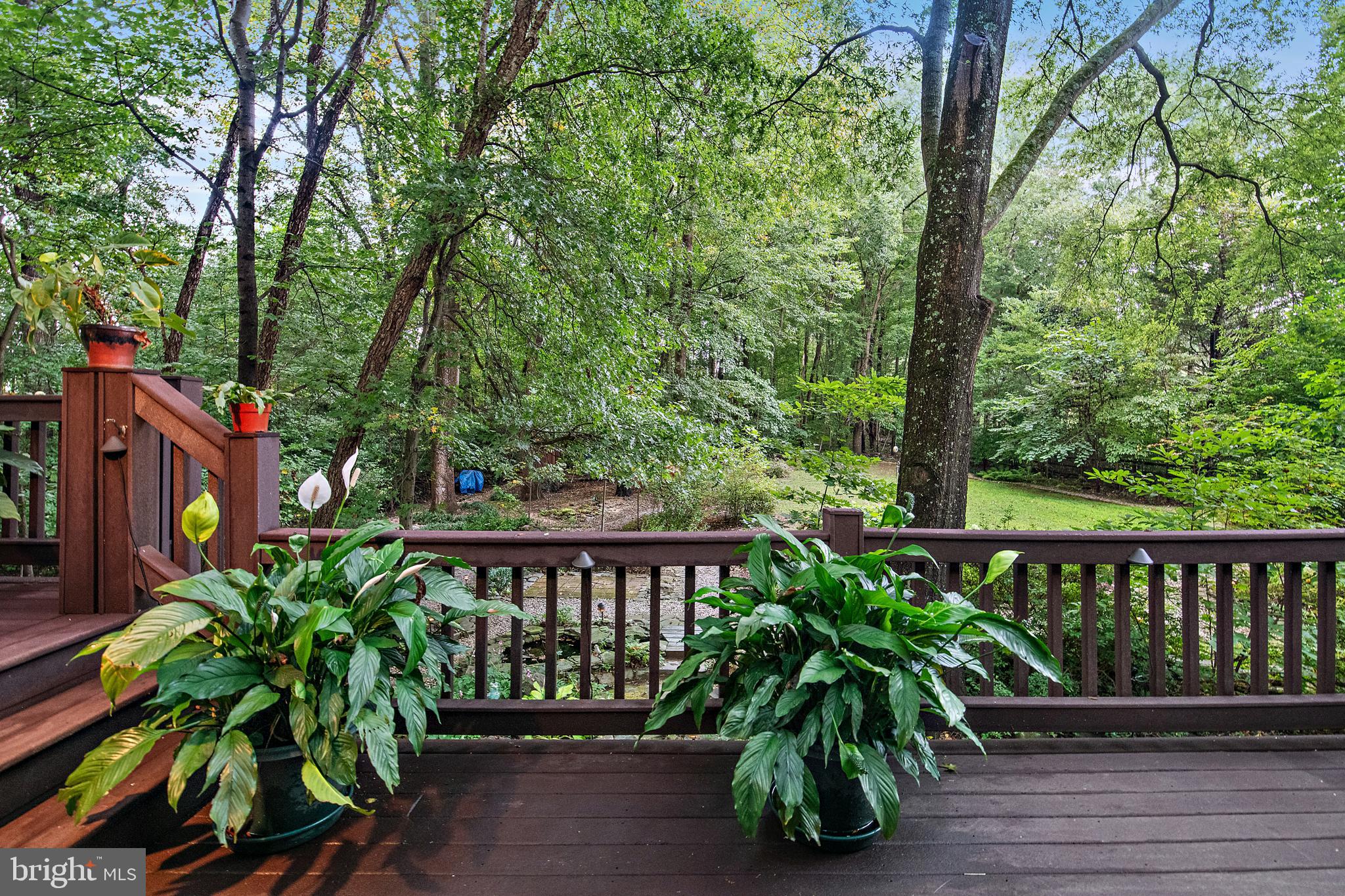 CHESTNUT RIDGE - Residential