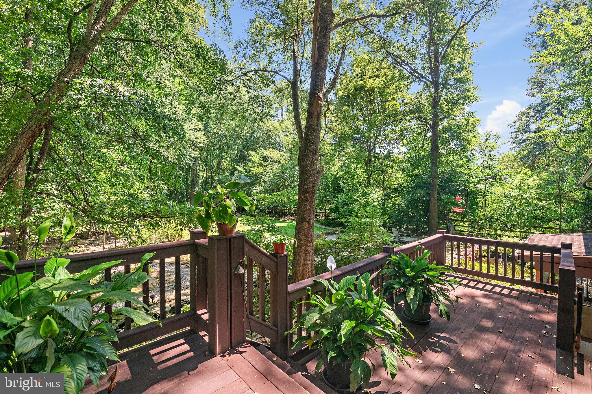 CHESTNUT RIDGE - Residential