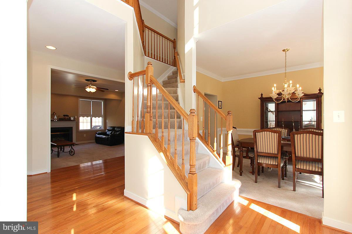 DALE CITY - Residential