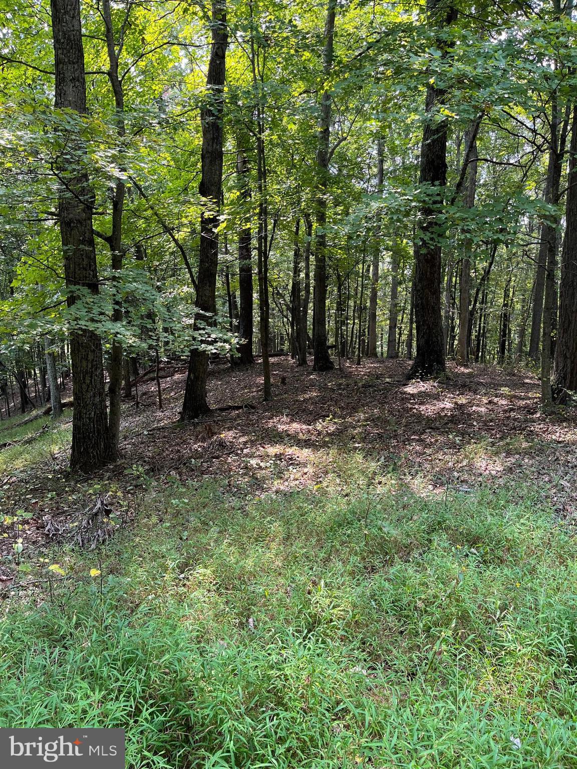 NONE AVAILABLE - Land