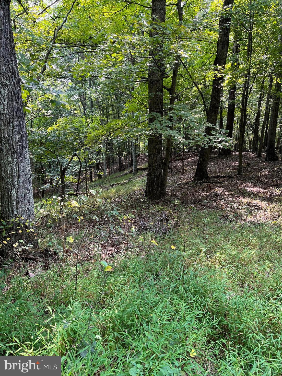 NONE AVAILABLE - Land