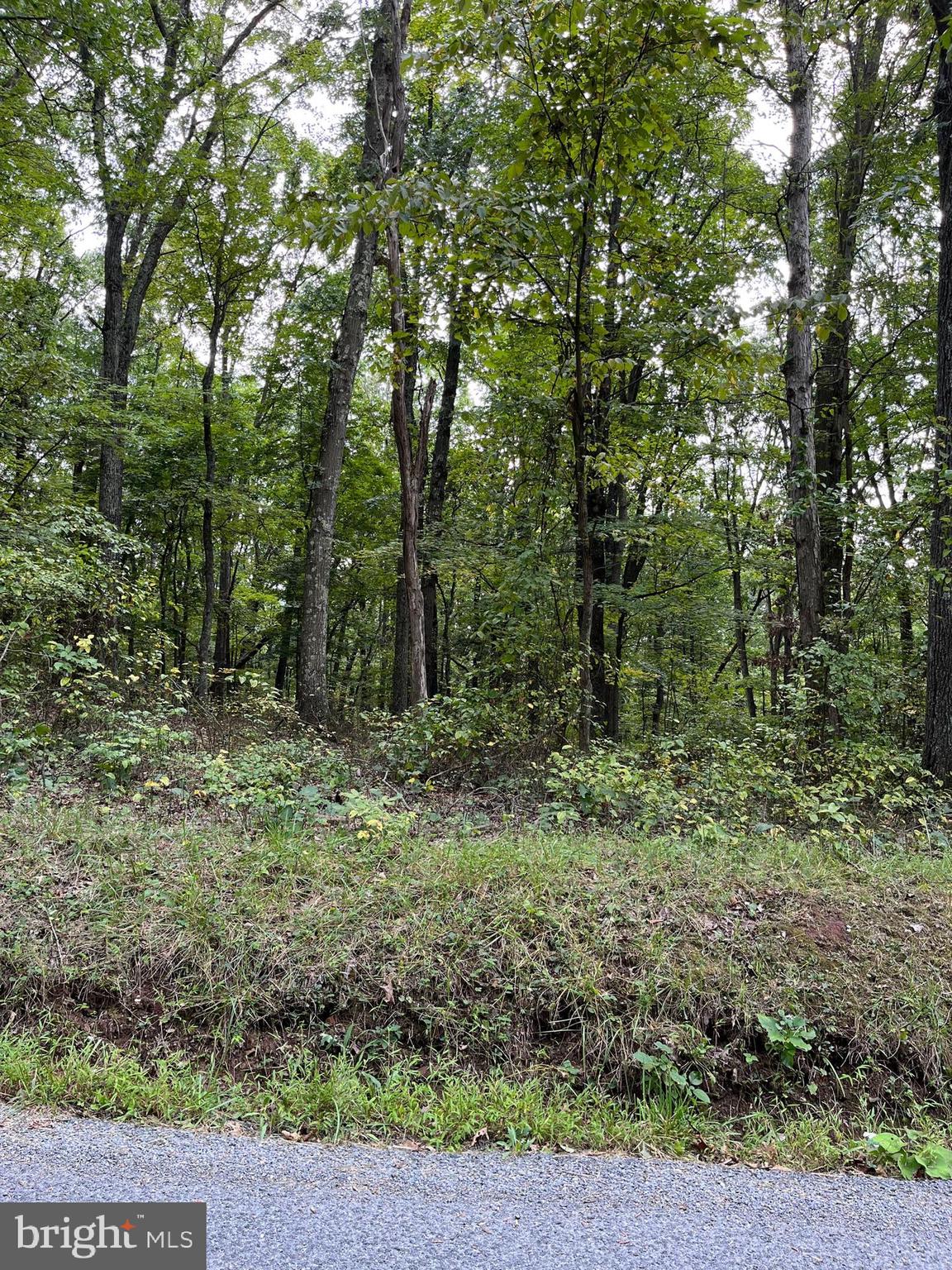 NONE AVAILABLE - Land