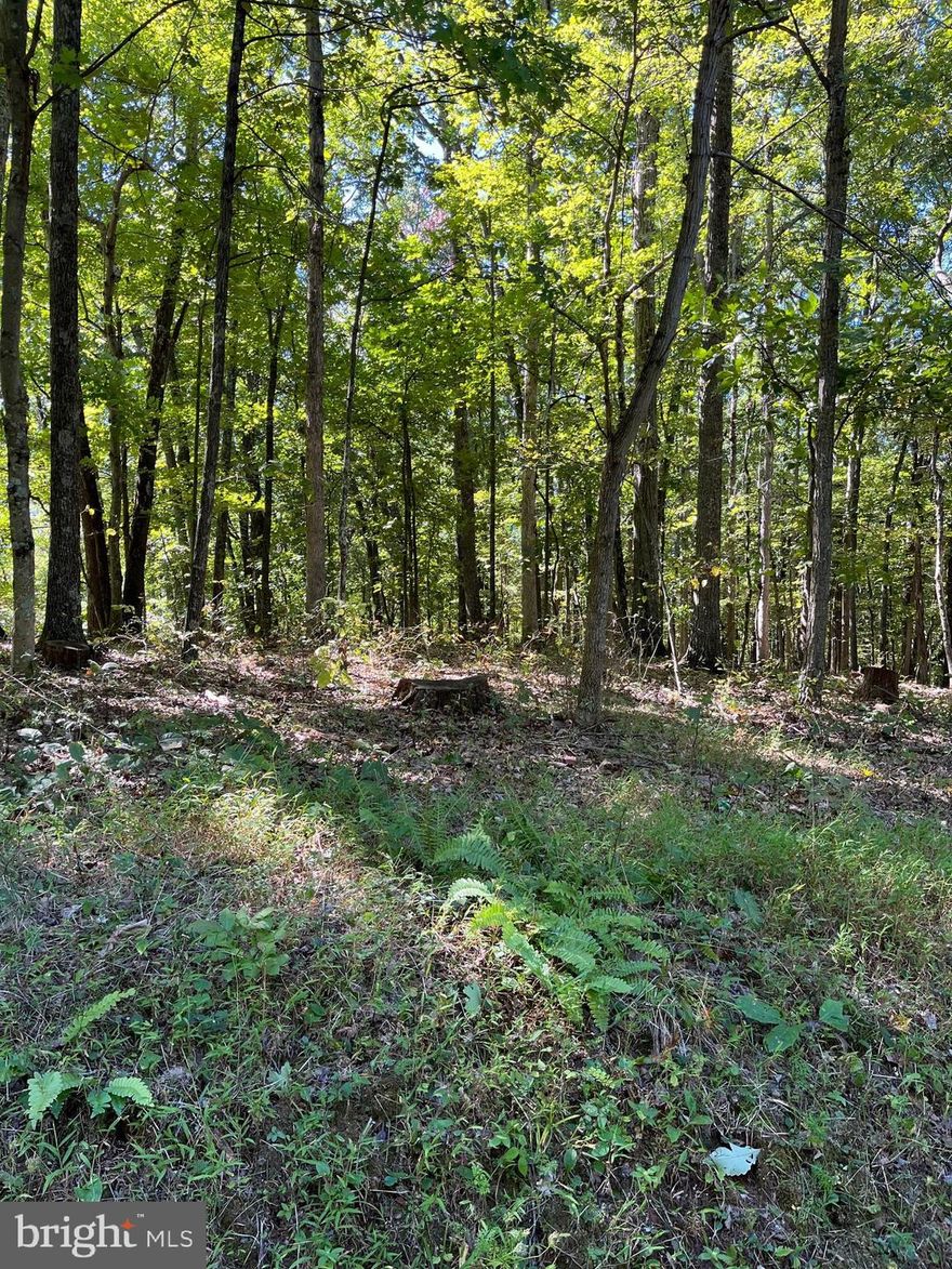 20.25 UNRESTRICTED  Acres located West of Berkeley Springs.  Build your dream weekend retreat and bring all your ATV's for a fun filled weekend.    Great hunting property.    Over 1300 feet of county road frontage, makung it perfect for subdividing to build multiple homes or a weekend retreat,  Can be divided 4 times, with a remainder.   The possibilities are endless.