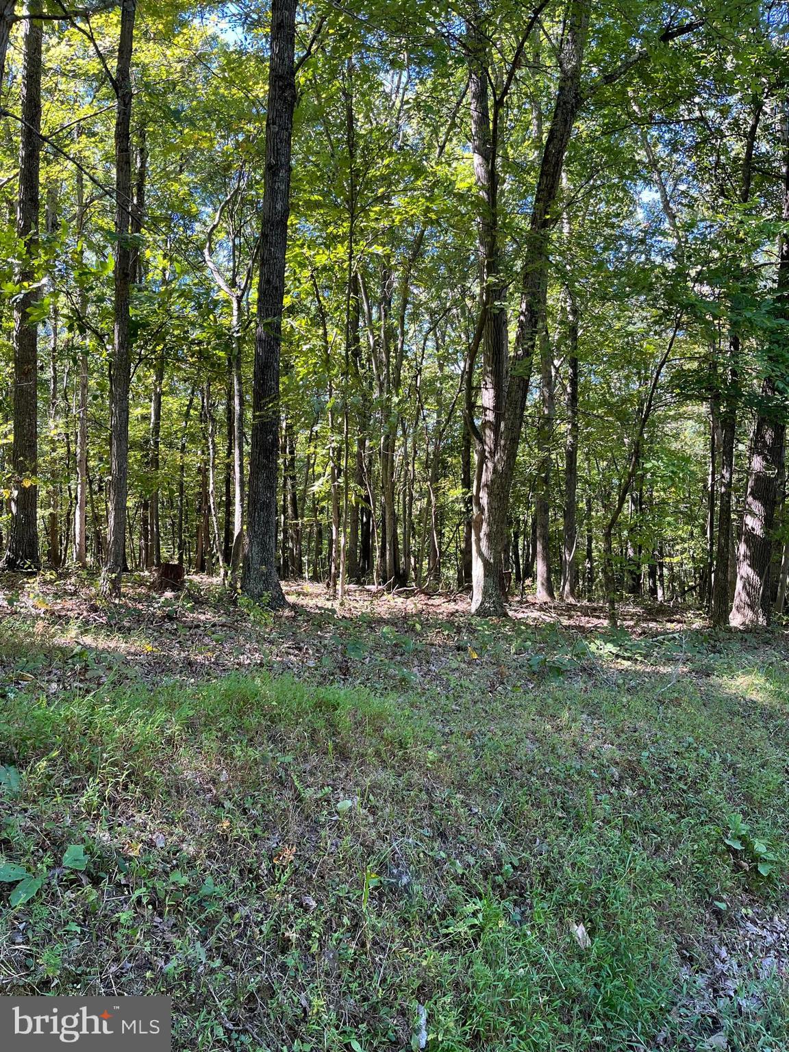 NONE AVAILABLE - Land