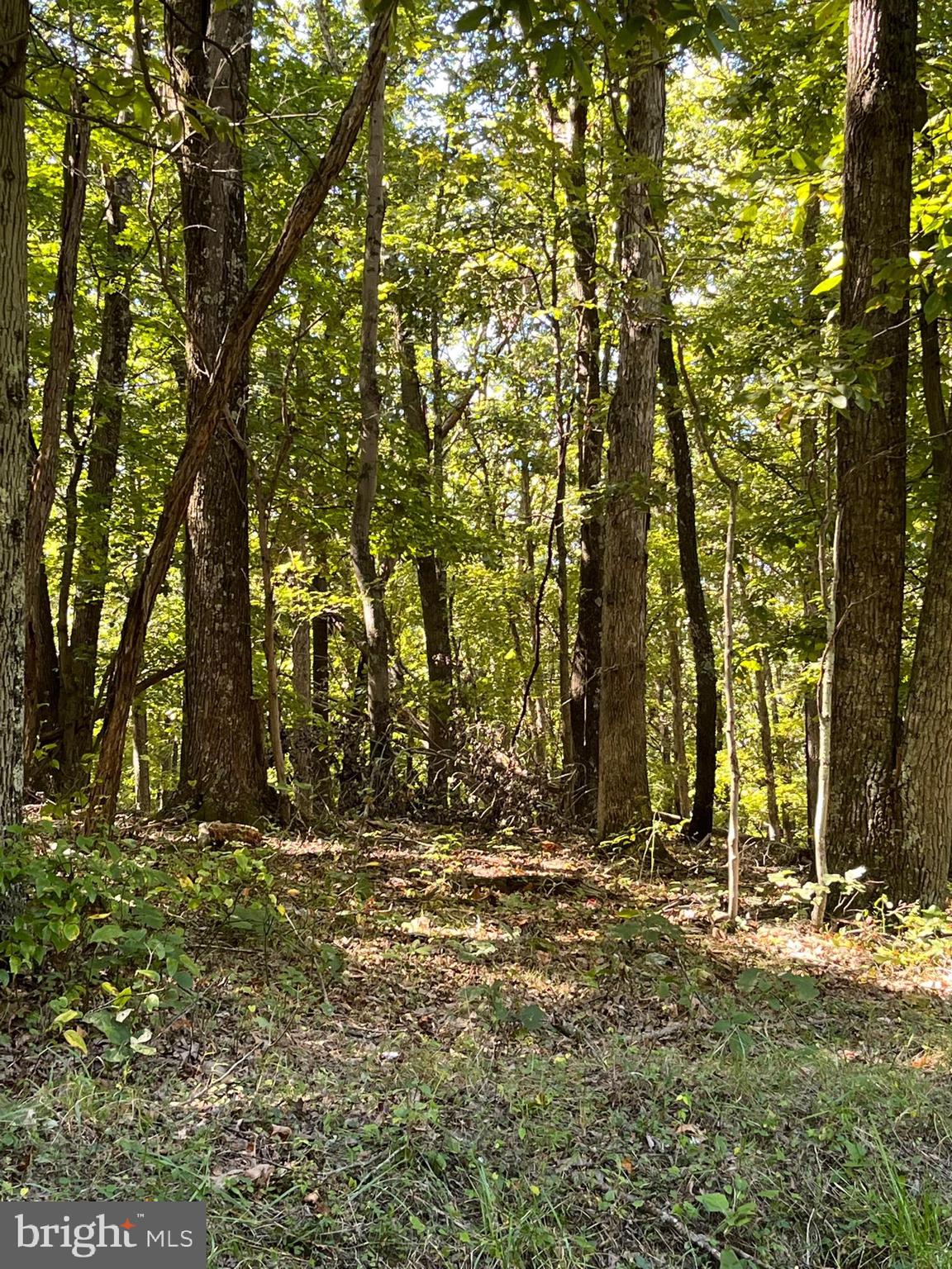 NONE AVAILABLE - Land