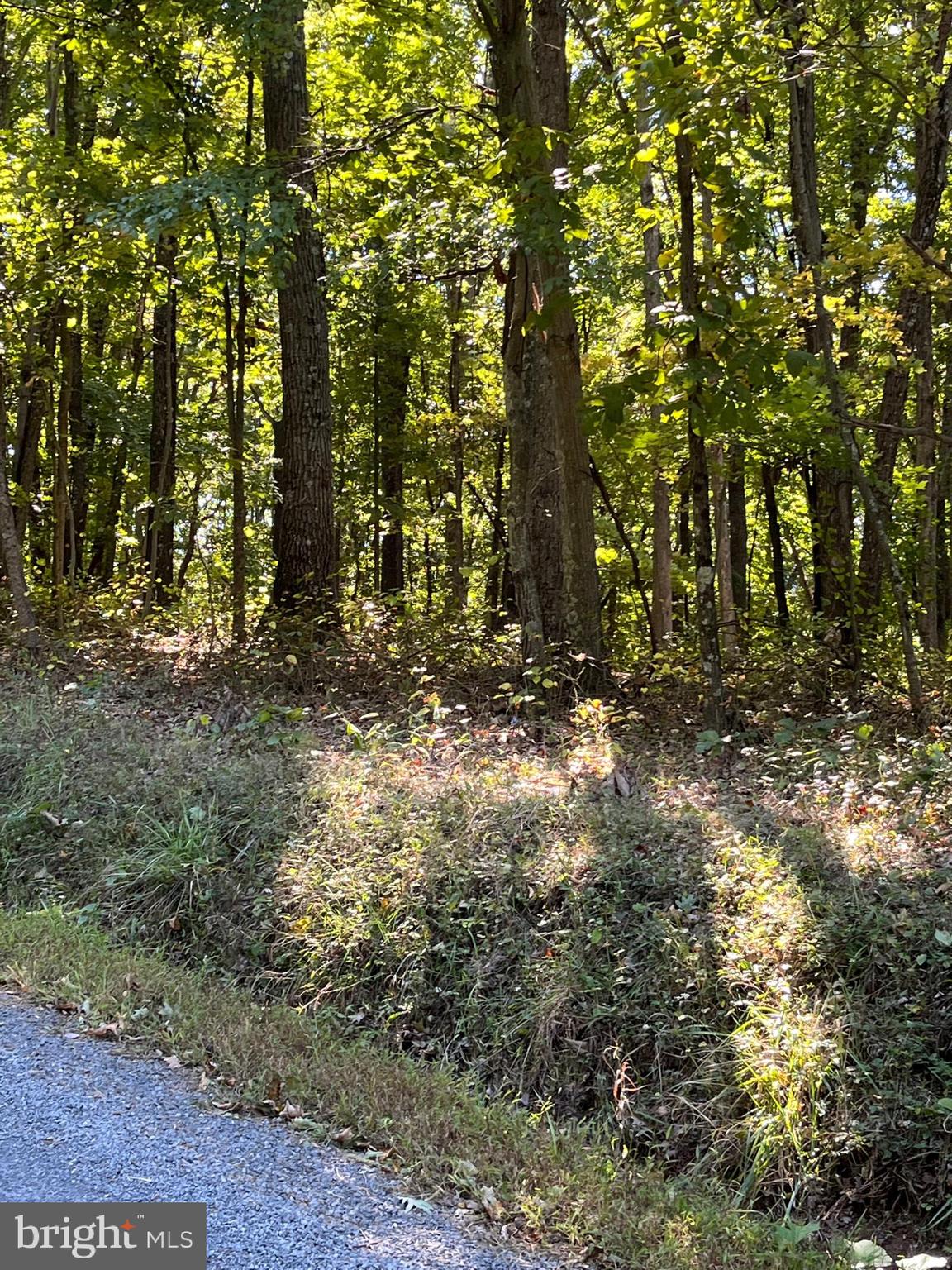 NONE AVAILABLE - Land