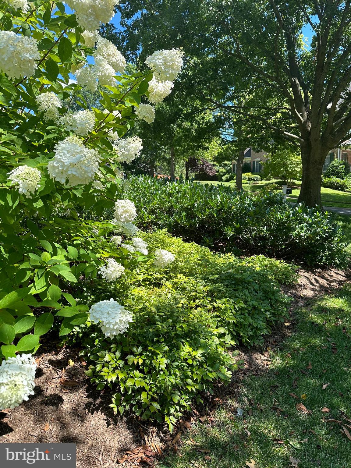 AYRLAWN - Residential