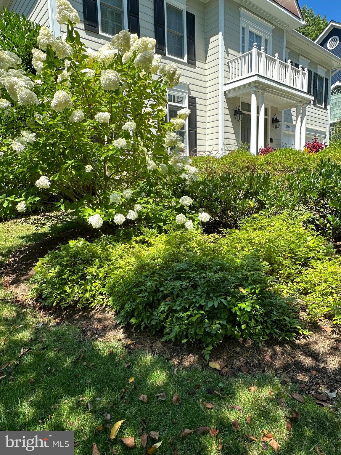 AYRLAWN - Residential