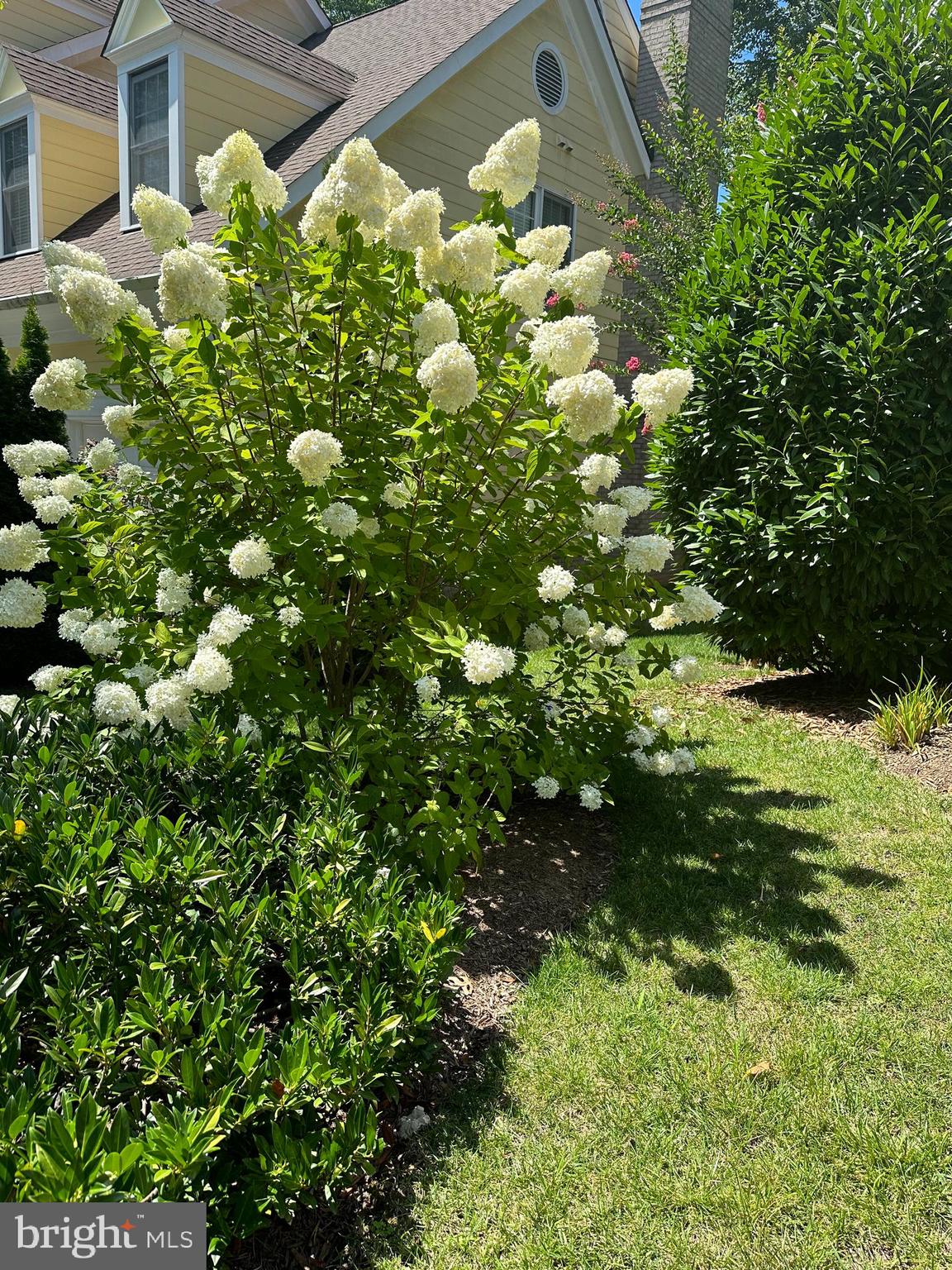 AYRLAWN - Residential