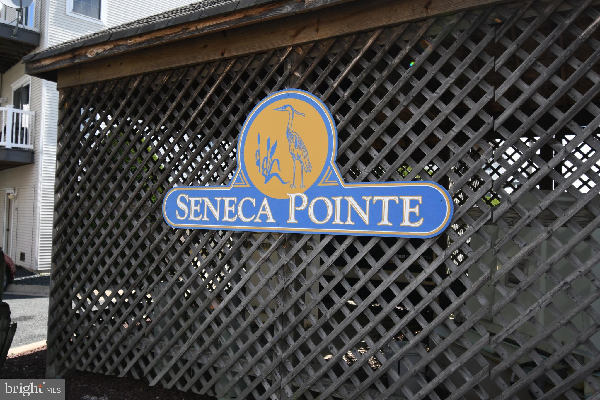 SENECA POINTE - Residential