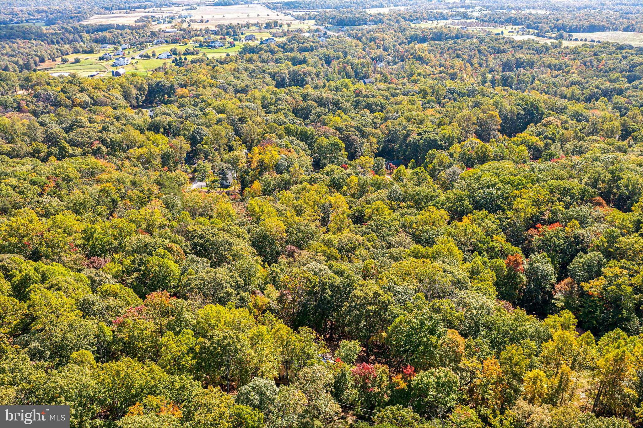 BULL RUN MOUNTAIN ESTATE - Land