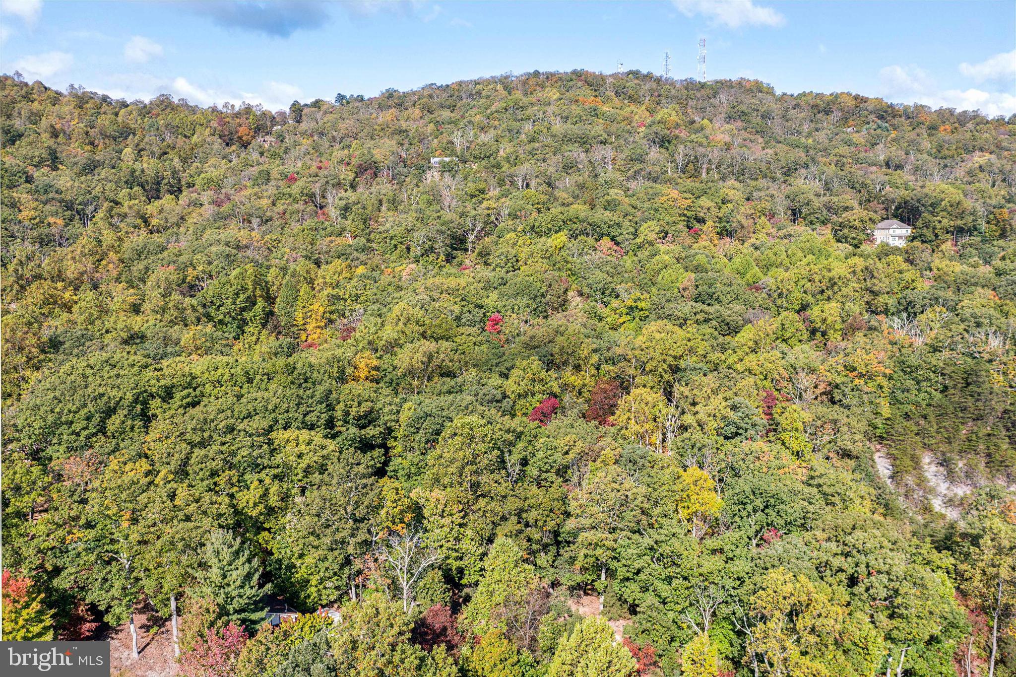 BULL RUN MOUNTAIN ESTATE - Land