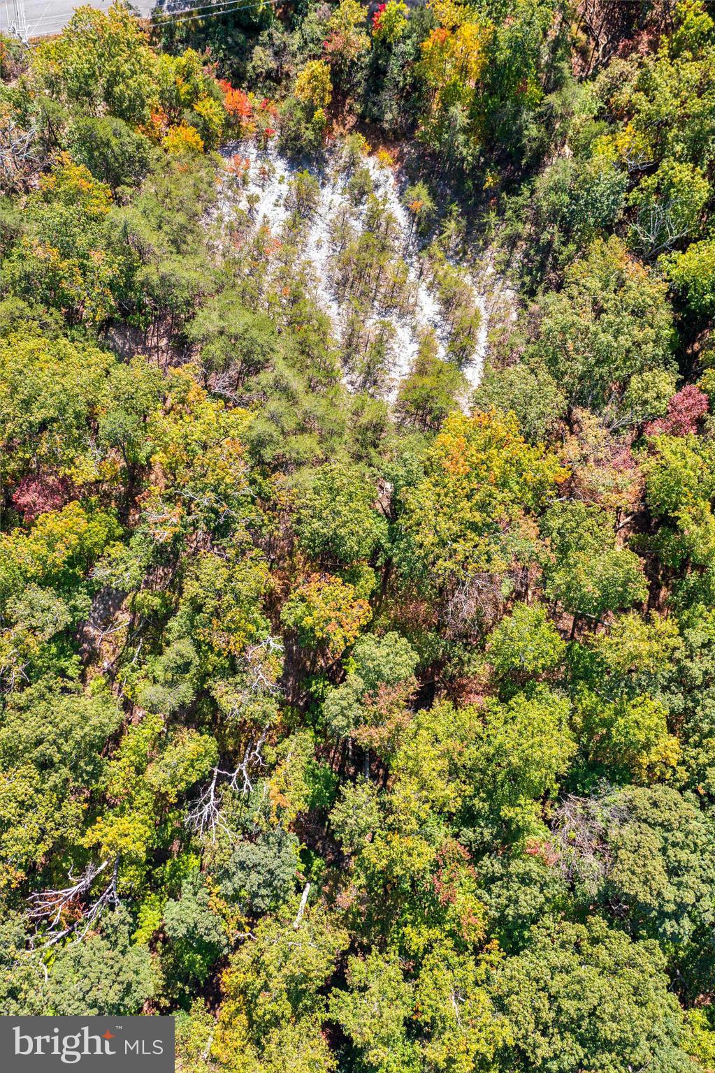 BULL RUN MOUNTAIN ESTATE - Land