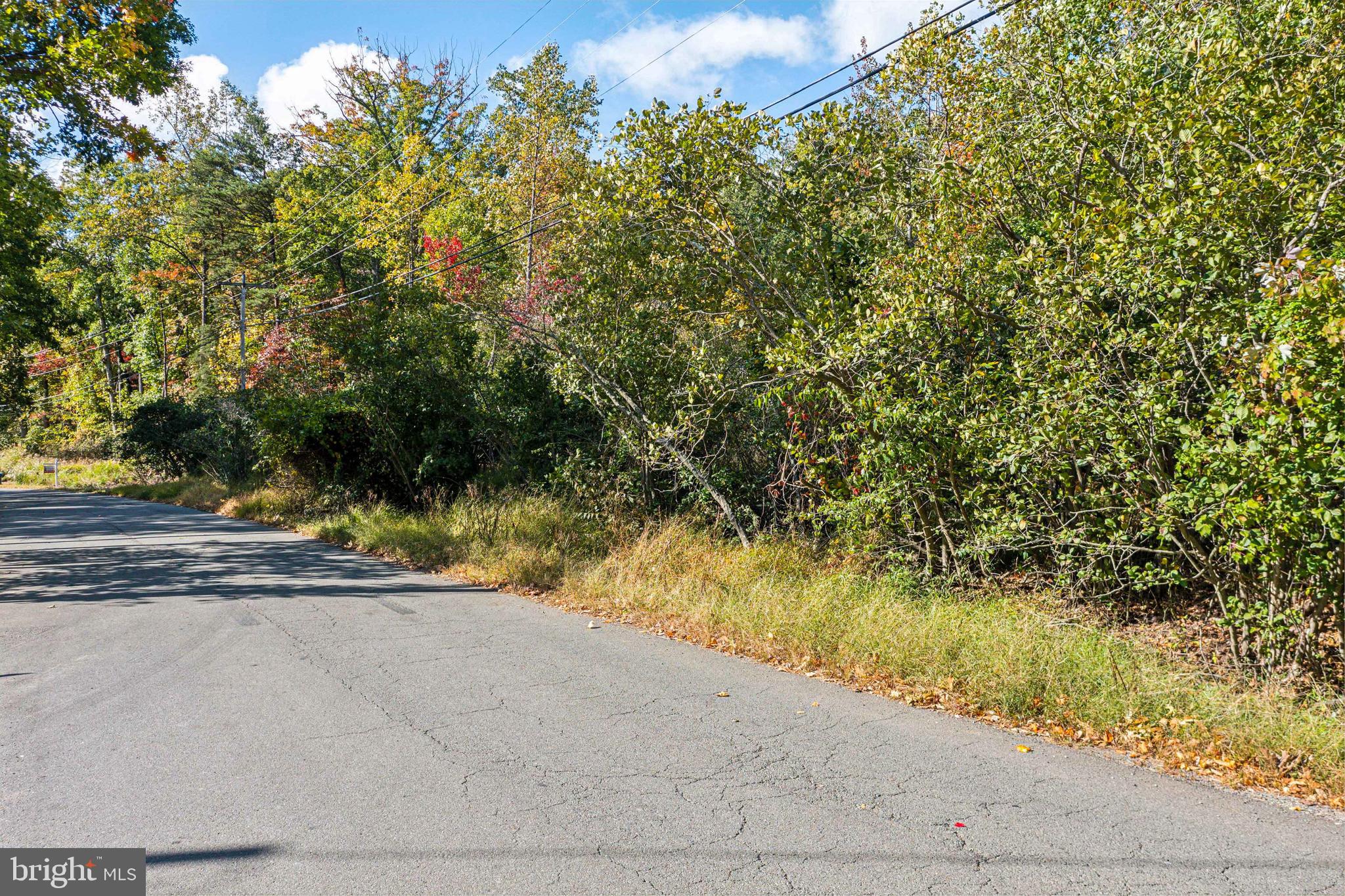 BULL RUN MOUNTAIN ESTATE - Land