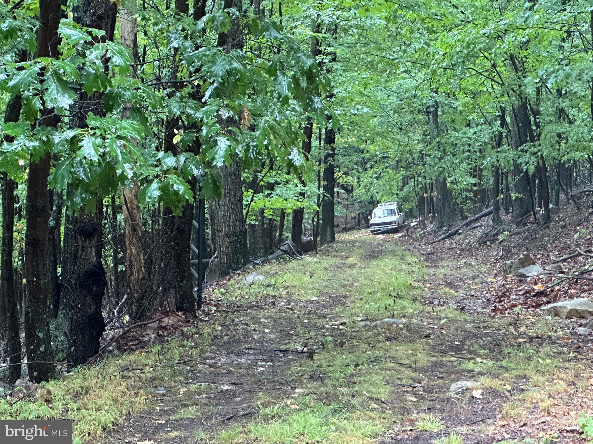 GRASSY MOUNTAIN WOODS - Land