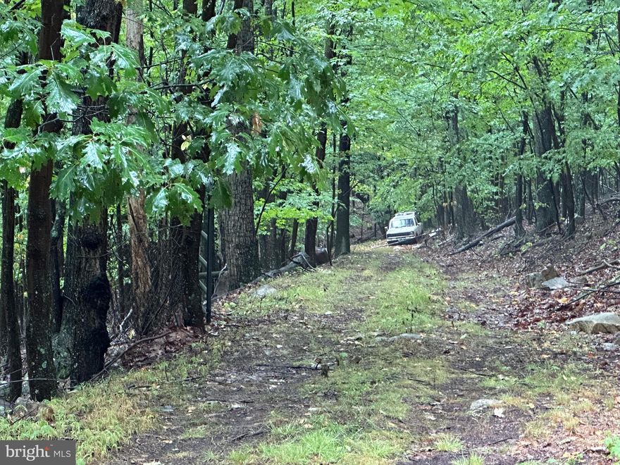 20.153+/- acres. Shed with Electric. 6 Miles outside of Romney