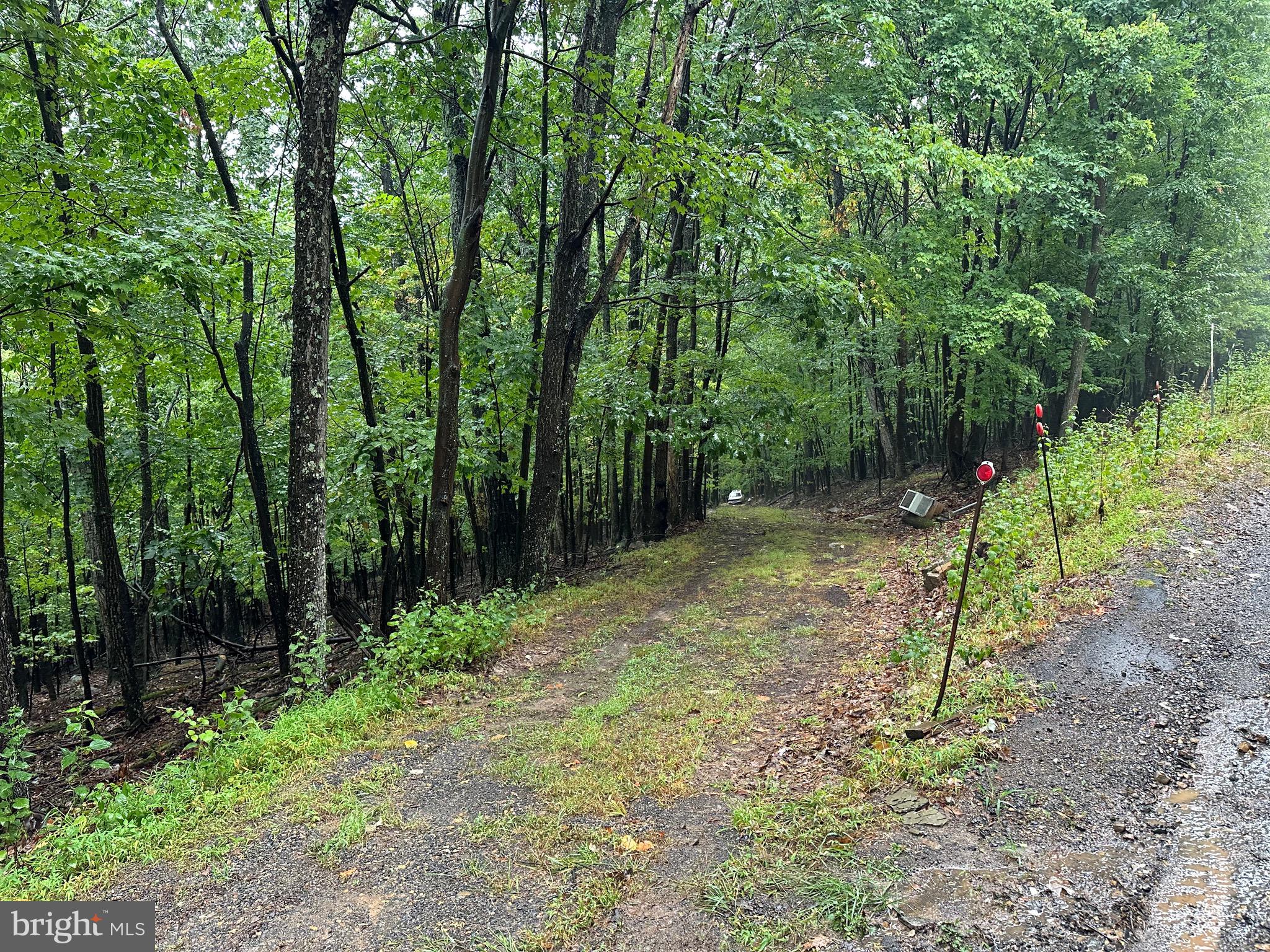 GRASSY MOUNTAIN WOODS - Land