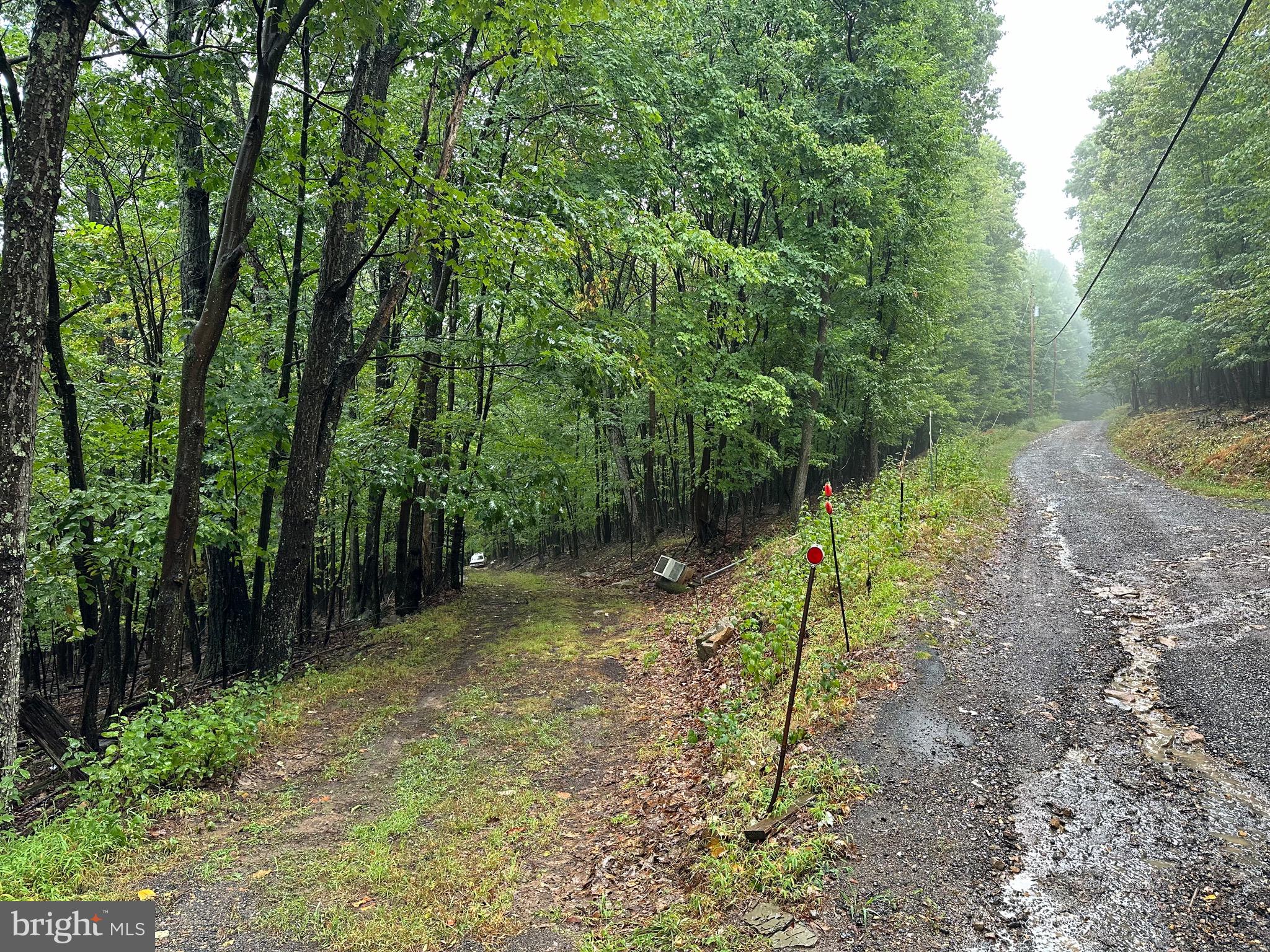 GRASSY MOUNTAIN WOODS - Land
