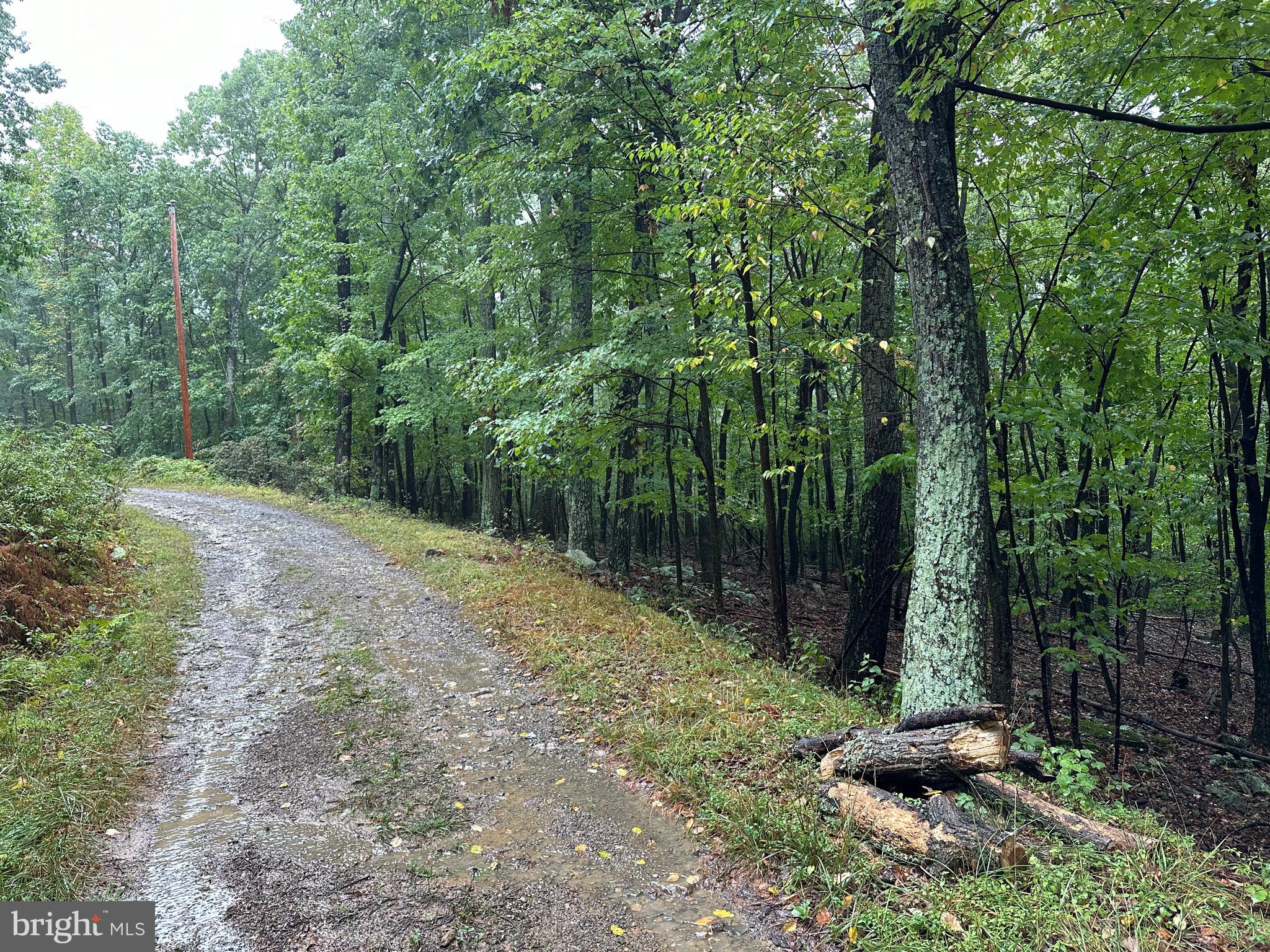 GRASSY MOUNTAIN WOODS - Land